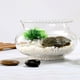thumbnail image 2 of Pecera de vidrio transparente, pecera decorativa, pecera de vidrio para acuario, pecera de burbujas para Betta, maceta hidropónica para peces de colores, pecera para tortugas, 2 of 8