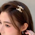 thumbnail image 4 of Pinza para el cabello con perlas, pinzas para el cabello, pinzas para el cabello con sujeción fuerte, pasadores grandes, accesorios para el cabello antideslizantesestilo: estilo2;, 4 of 5