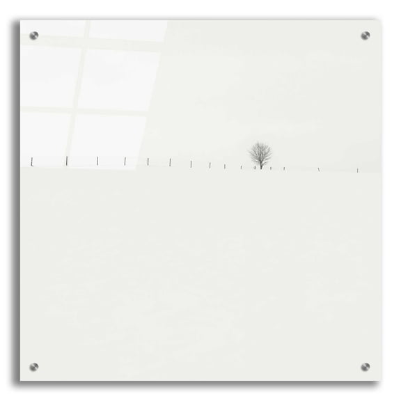 Epic Art 'Frozen Landscape' by Wilco Dragt, Acrylic Glass Wall Art, 24"x24"