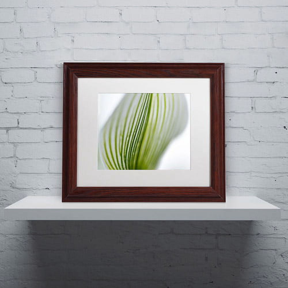 Trademark Fine Art "Orchid Abstract Blurred Lines" Canvas Art by Kurt Shaffer, White Matte, Wood Frame