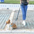 thumbnail image 4 of Carreras Xcfbfwr () Azul, 4 of 9