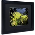 thumbnail image 2 of Trademark Fine Art "Longsheng" Canvas Art by Philippe Hugonnard, Black Matte, Black Frame, 2 of 4