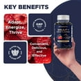thumbnail image 6 of (2 pack) Vitamatic Shilajit with KSM-66® Ashwagandha & Ginseng 10,000 mg Equivalent Per Serving – Natural Raspberry Flavor – 60 Vegan Gummies - Made in USA, 6 of 12