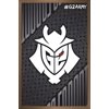 G2 Esports - G2 Army Wall Poster, 22.375" x 34" Framed