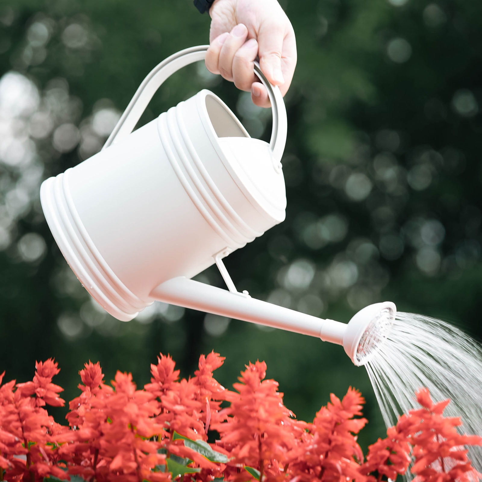 Watering Can 2L/4L Plastic Watering Can with Comfortable Handle Small Garden Long Spout for Indoor Outdoor