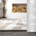 thumbnail image 3 of nuLOOM Carmel SpinClean Transitional Machine Washable Area Rug, 4' x 6', Carmel Beige, 3 of 7