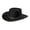 Black, variant on Men's Hawk Crushable Felt Western Fashion Hat Black Small
