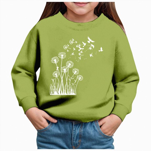 JUMEYU Crewneck Sweatshirts Teens Toddler Baby Girl Boy Outfit Sweatshirt Shirt Long Sleeve Pullover Winter Clothes Size 6 (Green,6 Years)