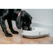 Cat Mate C300 Automatic Pet Feeder Three-Meal Feeder with Digital Timer and Ice Pack - For Cats And Small Dogs