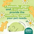 thumbnail image 3 of Honest To Goodness Plant Snacks Chamomile & Ginger Good Vibes Crunchy Dog Treats 8 oz, 3 of 6