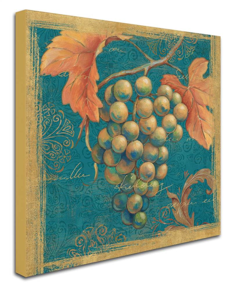 Trademark Fine Art "Lovely Fruits IV" Canvas Art by Daphne Brissonnet
