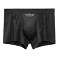 thumbnail image 2 of Mens Underwear Modal Boxers Shorts Homme Breathable Panties Magnetic Mesh Bullet Separation Pouch Underpants Cueca Calzoncillo XXL blue|https://ae01.alicdn.com/kf/Sc2287910e38e41709d3593e3d692bfe5J.pn, 2 of 5
