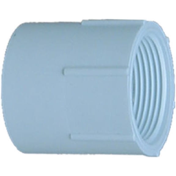 GENOVA 300 Series 30307 Pipe Adapter, 3/4 in Slip, 3/4 in FIP, White