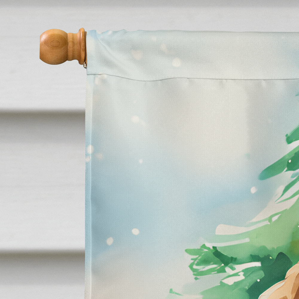 Caroline's Treasures DAC3614CHF Saint Bernard Christmas House Flag Large Porch Sleeve Pole Decorative Outside Yard Banner Artwork Wall Hanging, Polyester, House Size, Multicolor