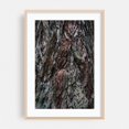 thumbnail image 2 of Untitled - Photography Nature Forest Woodland Abstract Wilderness Botanical Unframed Wall Art Print 12 x 18 inches, 2 of 60