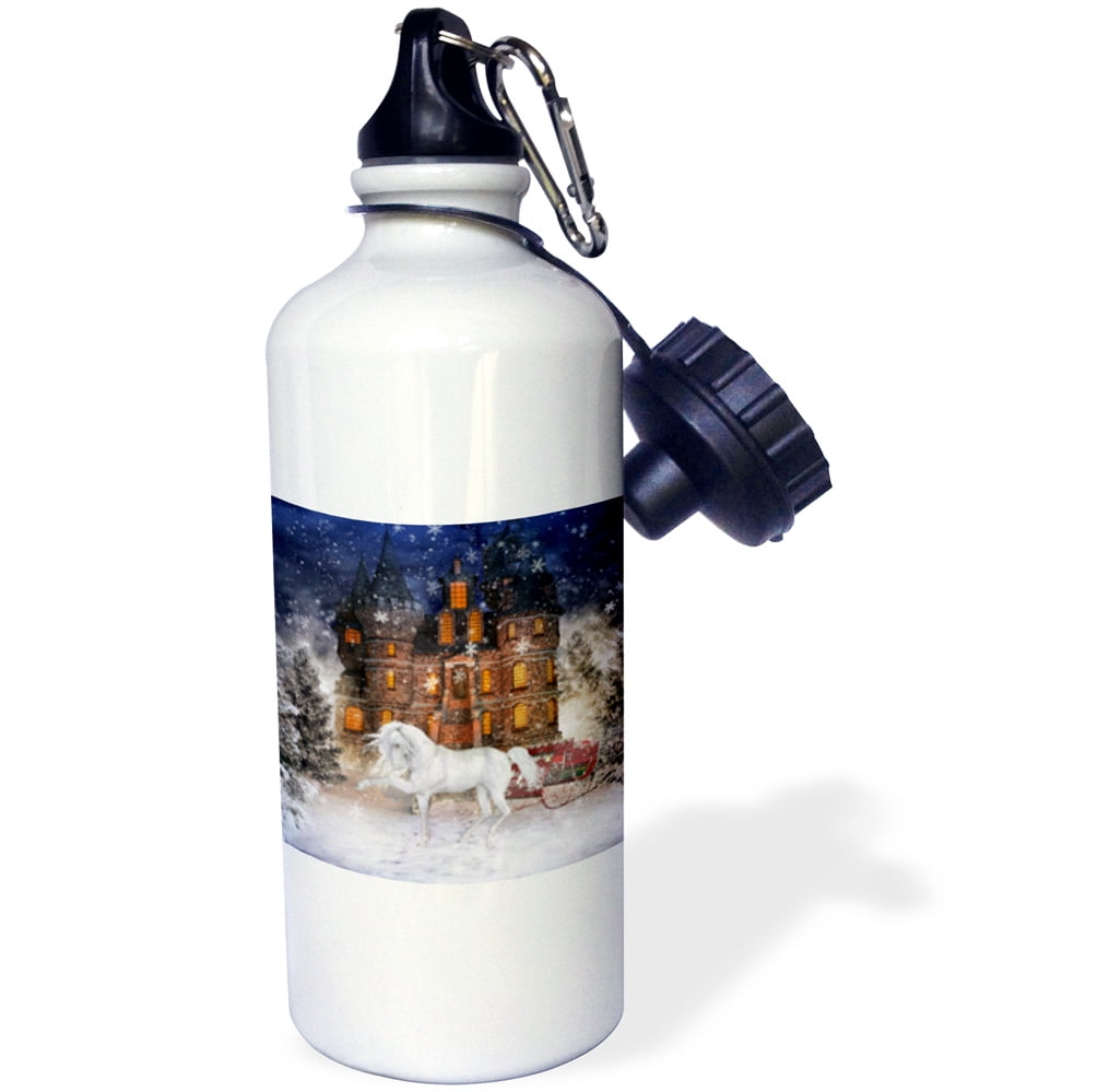3dRose A horse stands in a winter landscape next to a house and a sleigh, Sports Water Bottle, 21oz by Supplier Generic