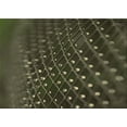 thumbnail image 1 of Ahgly Company Machine Washable Indoor Rectangle Transitional Fern Green Area Rugs, 8' x 12', 1 of 7