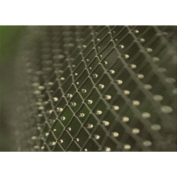 Ahgly Company Indoor Rectangle Patterned Fern Green Area Rugs, 2' x 5'