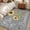 Dark Gray, variant on 2x3 Door Mat Rug, You Are My Sunshine Non-Skid Rubber Backing Large Rectangle Rugs - Living Room Bedroom Home Office, Yellow Sunflowers Cute Bees Heart Black Indoor Floor Mat Carpets Washable Rug