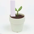 thumbnail image 2 of 100pcs Plastic Garden Plant Labels Nursery Stake Tags (White), 2 of 6