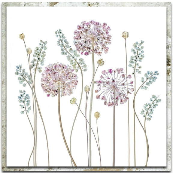 Allium Distressed Frame