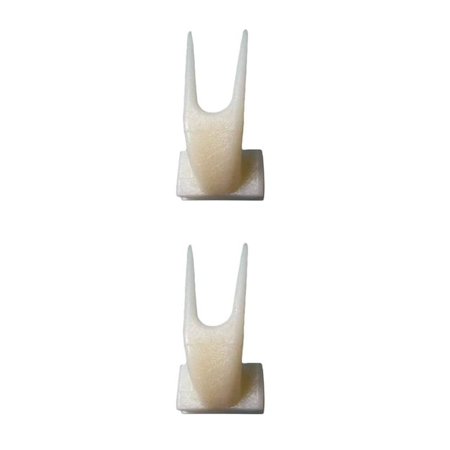 Methold Jaula para loros y pájaros, tenedor para frutas, herramienta alimentadora de pájaros, accesorio fijador de frutas, accesorios para L 2piezas