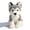 🌈 E_Hot#898, variant on Kuroiy Dog Plushie Toy Lifelike Lying Down Puppy, Super Soft Simulation Stuffed Animal Pet, Detailed Facial Features, Weighted Comfort, Home Deco