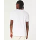 thumbnail image 5 of Playera Hollister Original Con Cuello Redondo E Icono, 5 of 5