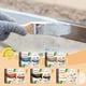 thumbnail image 2 of Isvgxsz Clearance Rust Renovator, Rust Remover for Metal, Rust Conversion Agent, Rust Removal Converter Metallic Paint, Water-Based Metal Rust Remover with Brush, Multi Purpose Anti-Rust Paint, 2 of 2