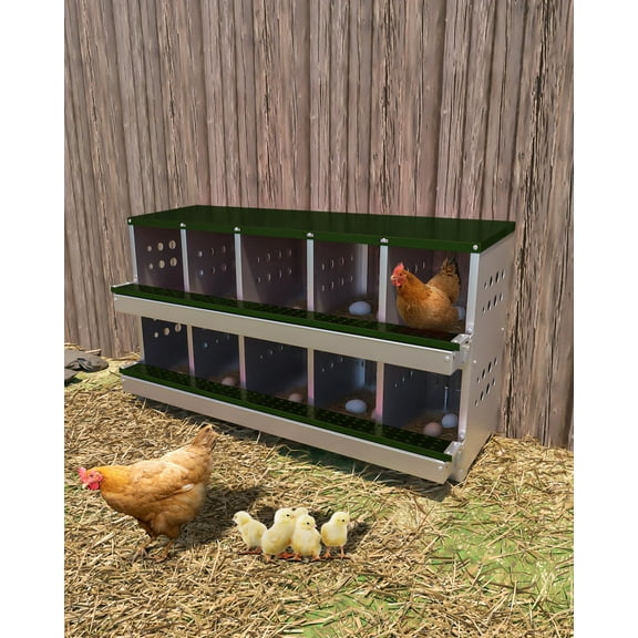 TEQIN 10 Hole Chicken Nesting Box,Heavy Duty Metal Roll Away Egg Laying Box for Hens with Perch & Ventilation,Wall Mount Poultry Coop Nest Box,Chicken Nesting Boxes,Easy Egg Collection