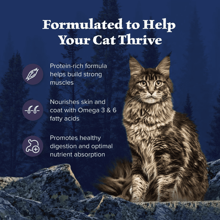 Blue Buffalo Wilderness Natures Evolutionary Diet Chicken High-Protein Grain-Free Adult Dry Cat Food, 12 lb (2 Pack)