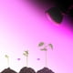 thumbnail image 2 of 2 Luces LED de Espectro Completo para Crecimiento de Plantas, 85-265 V, para Invernadero de Jardín Interior Hidropónico, 28 W, 2 of 6