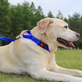 thumbnail image 3 of HAHDAXIA Martingale Collar for Dogs, Reflective Heavy Duty Dog Collar for Safety, Quick Release Buckle, Adjustable Nylon Collars for Puppy Dogs Walking Training, Navy Blue,XS, 3 of 7