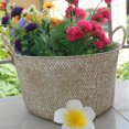 thumbnail image 1 of Flower Basket Handmade Portable Seagrass Household Planting Pot for Home, 1 of 7