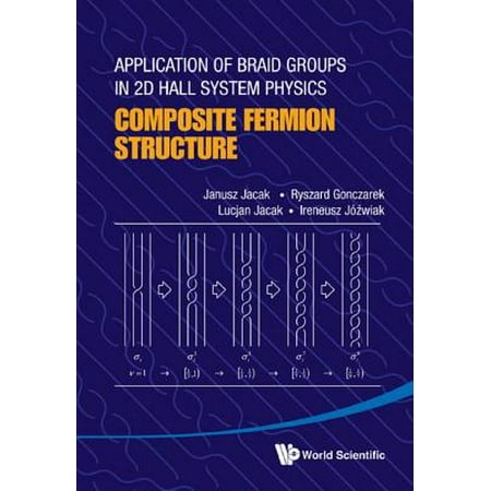 Application of Braid Groups in 2D Hall System Physics -