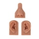 thumbnail image 1 of Modelo de oreja de nariz de silicona, juego de modelo de oreja de nariz de simulación 3D para práctica de perforación, enseñanza de tono de piel oscuro, 1 of 8