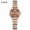 coffee, variant on Women's watch with elegant steel band, two-hand half-seconds watch, waterproof quartz watch, trendy and fashionable women's model