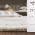 thumbnail image 4 of SAFAVIEH Ebony Priscilla Oriental Area Rug, Ivory/Grey, 6' x 6' Round, 4 of 10