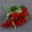 Red, variant on LKZQHMC 1 Bunche Bouquet of Artificial Silk Flower Carnations, Bouquet and Green Leaf for Home Party,Bridal Wedding Holding Flowers Festival Decor with 10 Per Bunch Flower (Pink)