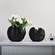 thumbnail image 5 of Jarrón de flores de carambola, adorno de mesa, jarrón decorativo novedoso, jarrón de cerámica para mesita de noche, mesa de centro, armario de fiesta M negro, 5 of 9
