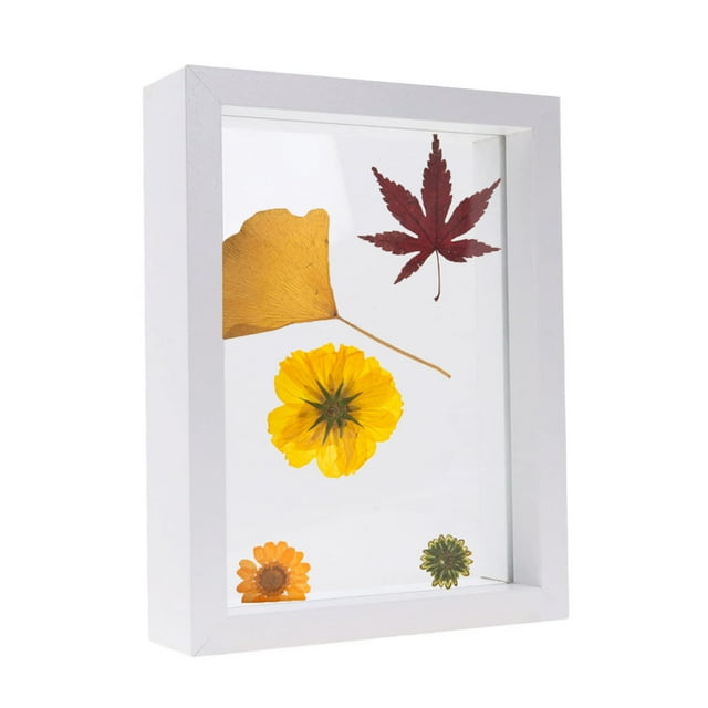 Cadre Spécimen de Fleurs et Feuilles Séchées Cadre en Bois avec Réel