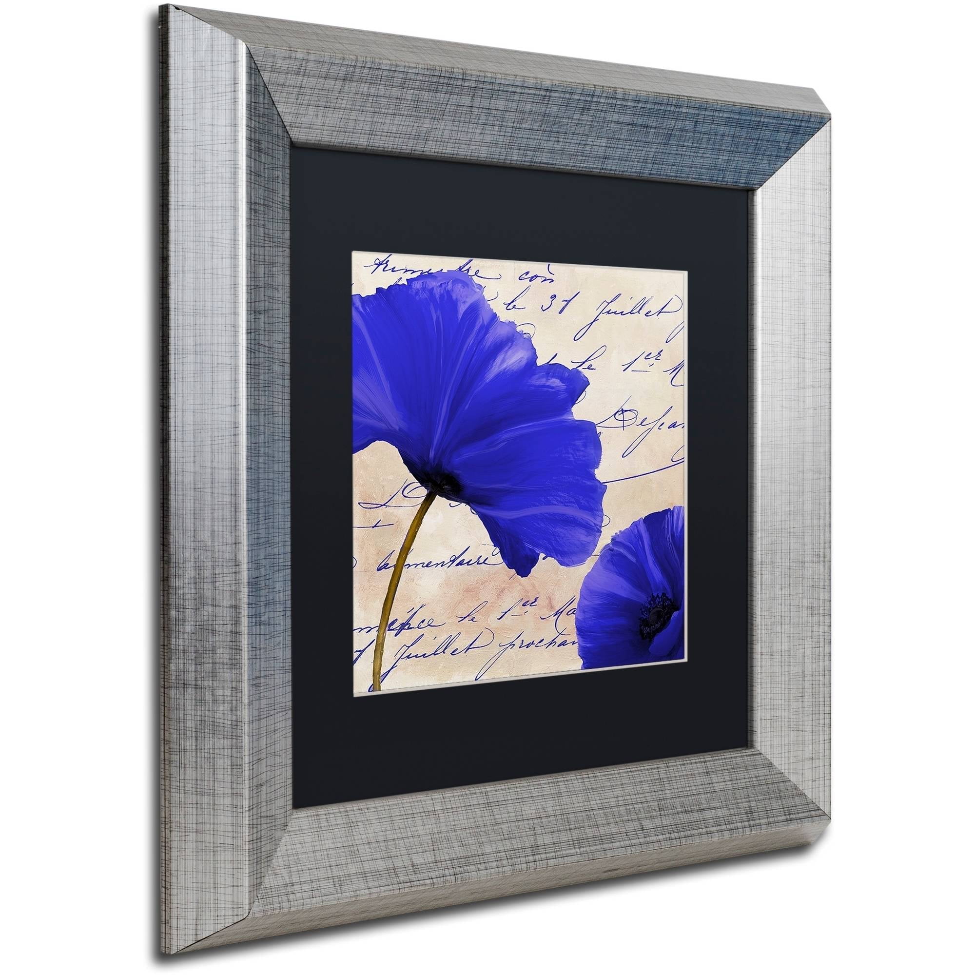 Trademark Fine Art "Coquelicots Bleues II" Canvas Art by Color Bakery Black Matte, Silver Frame
