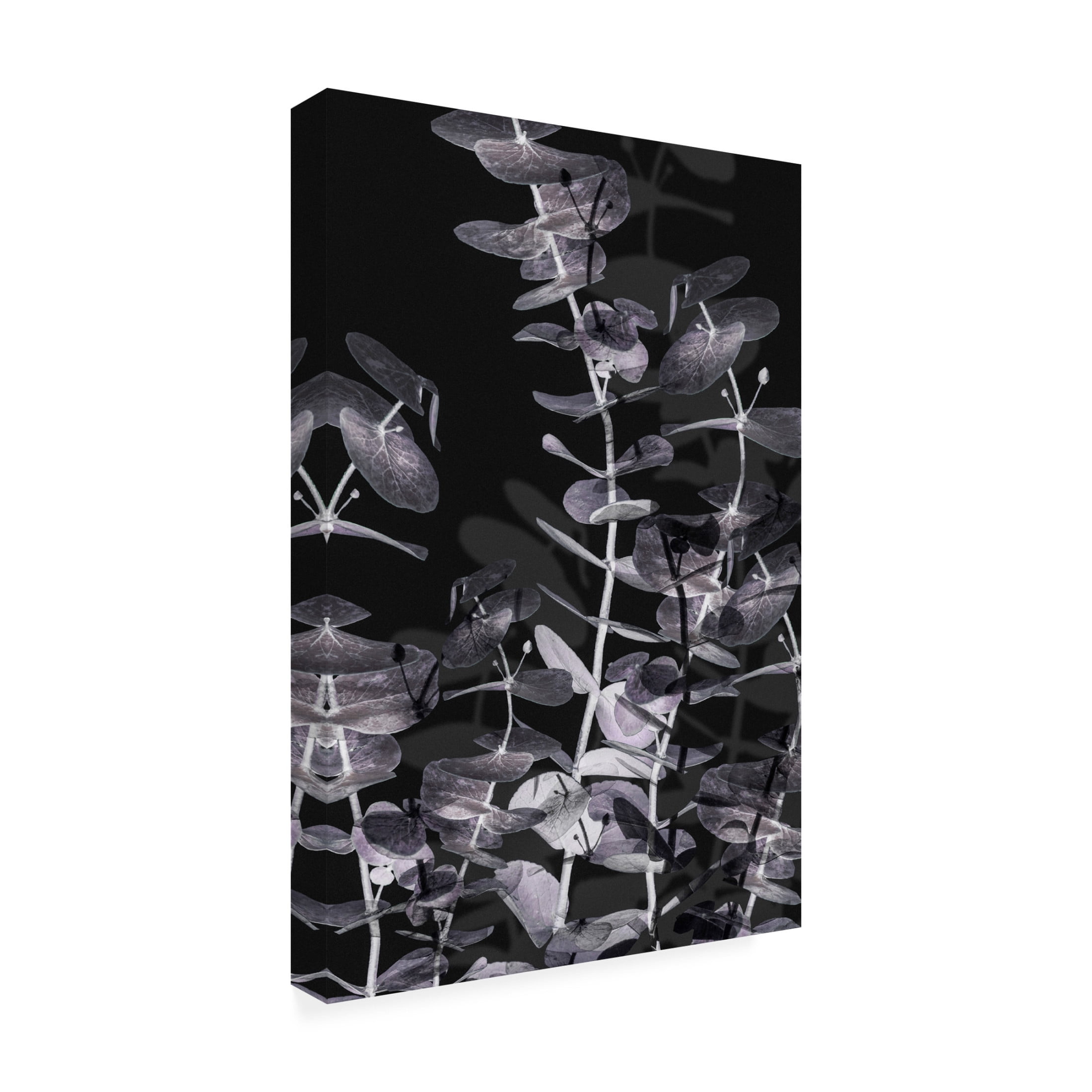 Pictufy Studio III 'Eucalyptus Negative 2' Canvas Art - 22 x 32 Inches