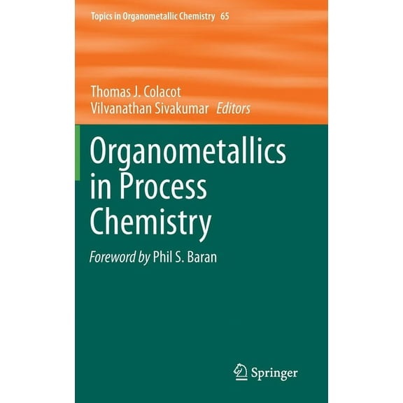 Topics in Organometallic Chemistry Organometallics in Process Chemistry, Book 65, (Hardcover)