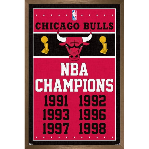 NBA Chicago Bulls - Champions 13 16.5" x 24.25" Framed Poster, by Trends International