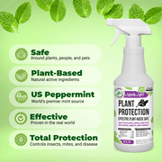 Mighty Mint Peppermint Oil Plant Protection Spray Insect & Pest Control for Gnats, Spider Mites & Aphids, 31 fl oz