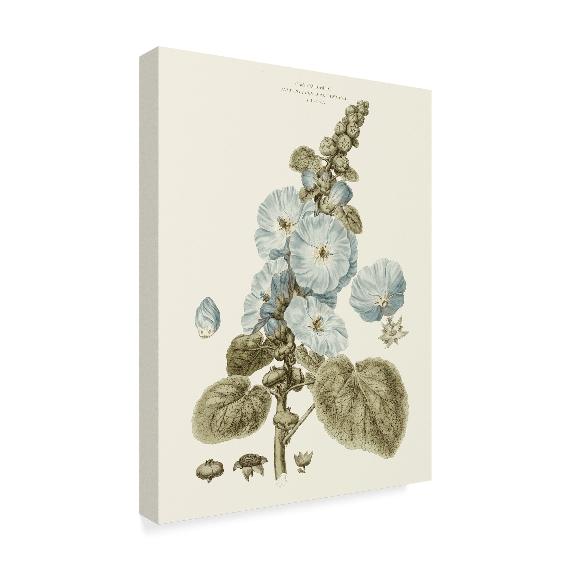 Trademark Fine Art 'Bashful Blue Florals IV' Canvas Art by John Miller