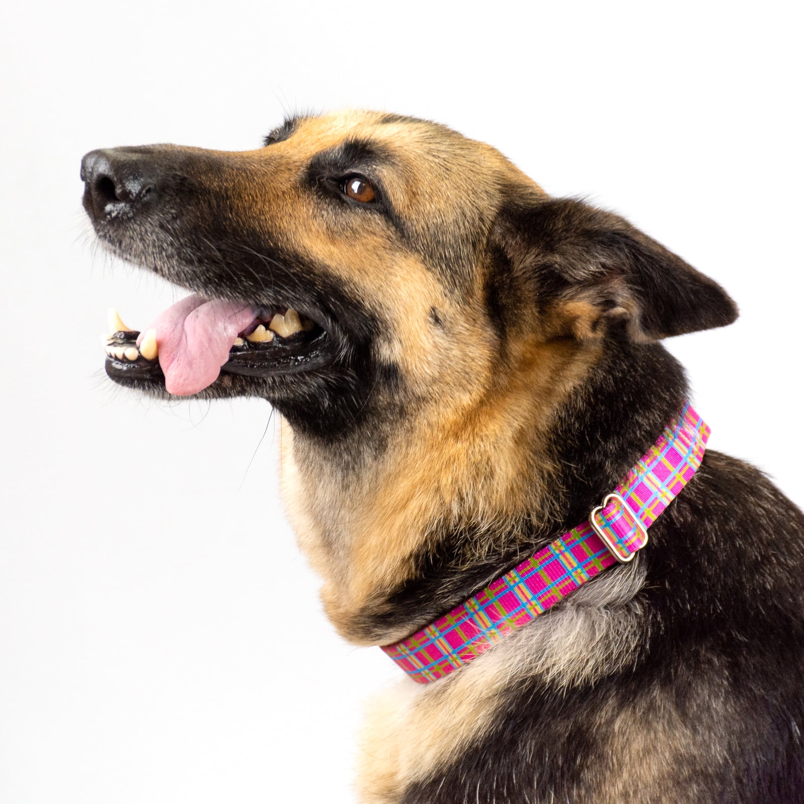Country Brook Petz® Bubblegum Pink Plaid Martingale Dog Collar and Leash, Medium