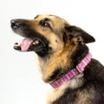 thumbnail image 2 of Country Brook Petz® Bubblegum Pink Plaid Martingale Dog Collar and Leash, Small, 2 of 7