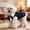 Blue, variant on Velvet Dog Tuxedo with Detachable Bowtie, Formal Wear Suit for Small Dogs Wedding Prom Events,XS,Red